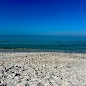 Meet your Posher, Cory